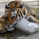 how to beat the heat_nyccheap
