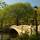 Central Park Bow Bridge