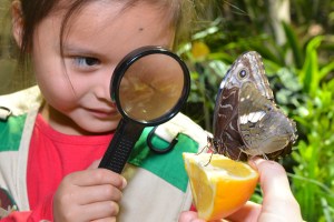 free online programs for kids