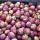 Best Pick-Your-Own Farms Near NYC