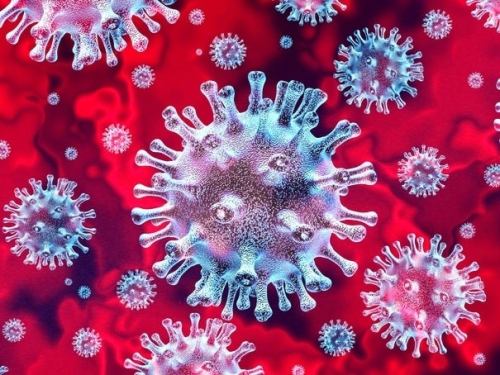 nyc coronoavirus update